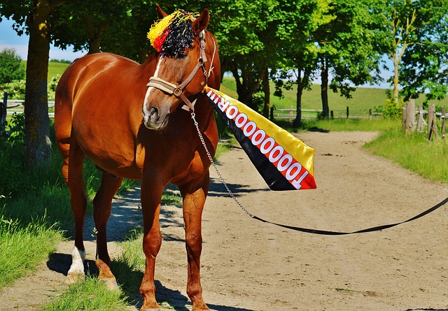 如此激烈的 如此激烈的