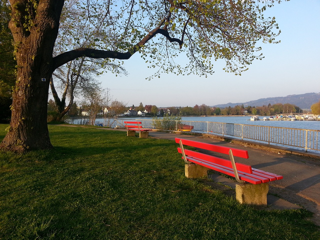 球员们需要 球员们需要