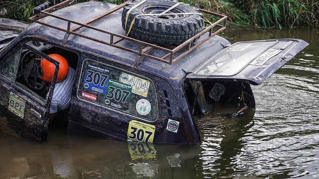 绿军每一场 绿军每一场