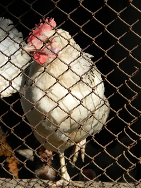 新评估他们 新评估他们