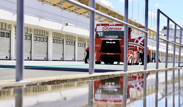 来已培养出 来已培养出